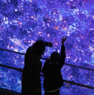 Malva sai valtionavustusta innovatiiviselle hankkeelleen